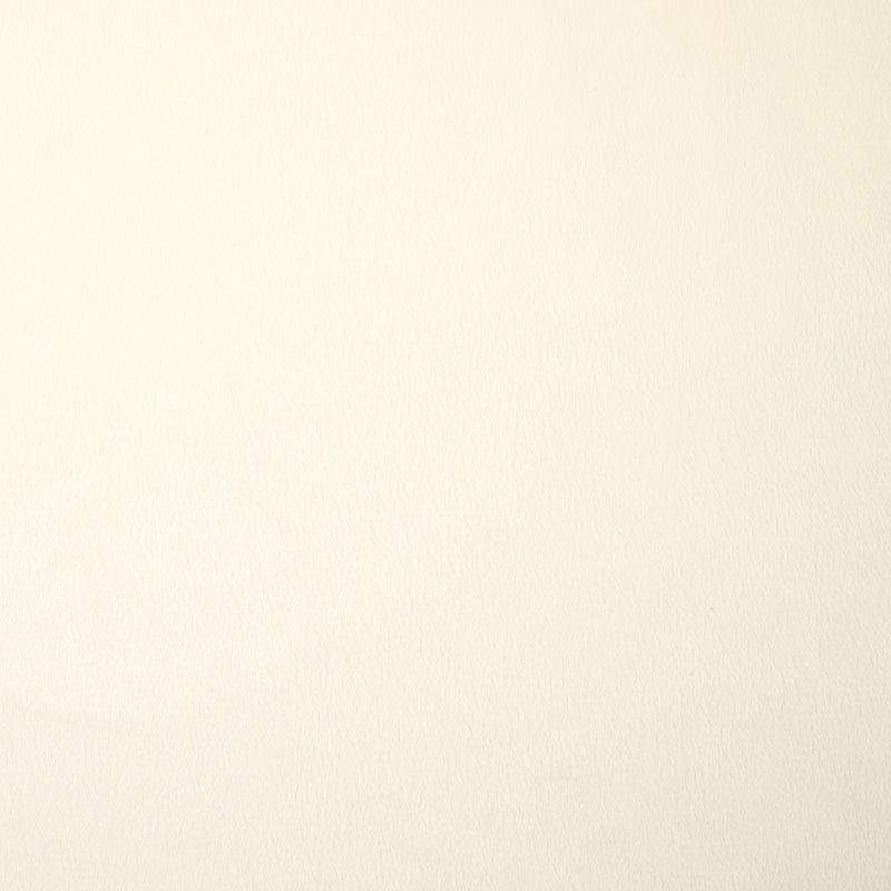 Cuddle® Extra Wide - Ivory 90" Minky Yardage