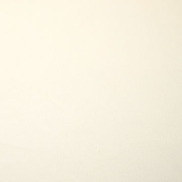 Cuddle® Extra Wide - Ivory 90" Minky Yardage