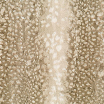 Cuddle® Luxe - Fawn Cappuccino 60" Minky Yardage Primary Image