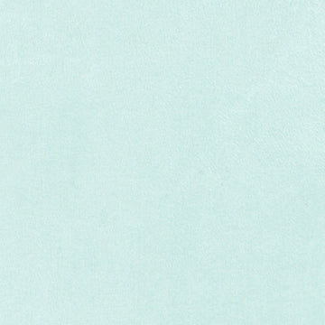 Cuddle® Solids - Honeydew 60" Minky Yardage