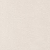 Cuddle® Solids - Beige 60" Minky Yardage