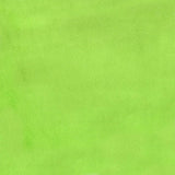 Cuddle® Solids - Dark Lime 60" Minky Yardage