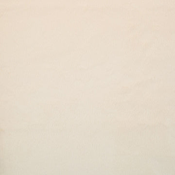 Cuddle® Solids - Ivory 60" Minky Yardage