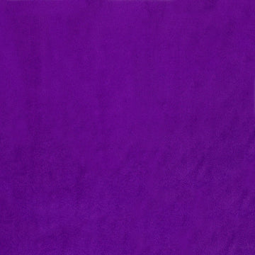 Cuddle® Solids - Purple 60" Minky Yardage Primary Image