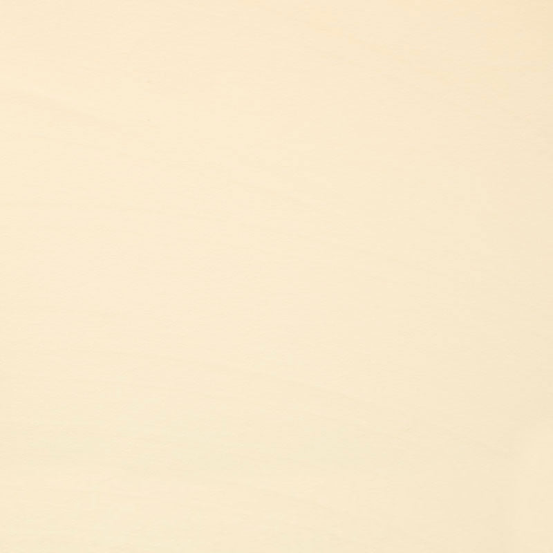 Cuddle® Solids - Vanilla 60" Minky Yardage