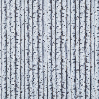 First Light - Birch Trees Light Gray Yardage