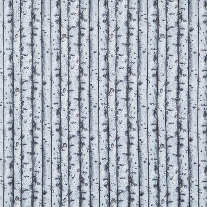 First Light - Birch Trees Light Gray Yardage