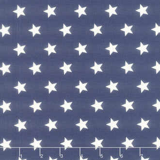 Monthly Placemat Coordinate - Stars Navy Yardage