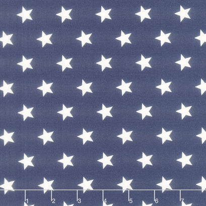 Monthly Placemat Coordinate - Stars Navy Yardage