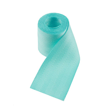 Seat Belt Webbing By-The-Yard - Minty Aqua Primary Image