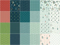 Arrival of Winter Rolie Polie Alternative View #2