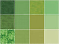 Handpicked Produce Bright Basics Eat Your Greens Rolie Polie 24 pcs. Alternative View #2