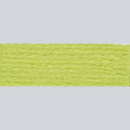 DMC Embroidery Floss - 12 Tender Green