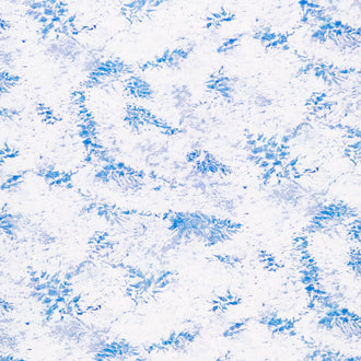 Earth Views - Clouds Cloud Yardage