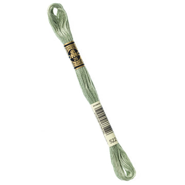 DMC Embroidery Floss - 522 Fern Green Primary Image