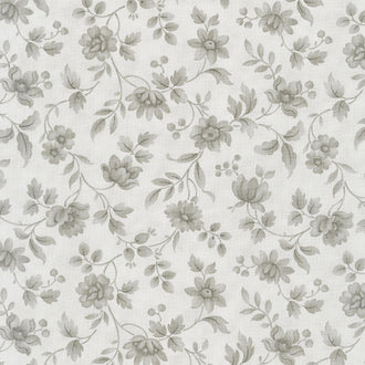 Daybreak - Morning Glory Silver Sateen 108" Wide Backing