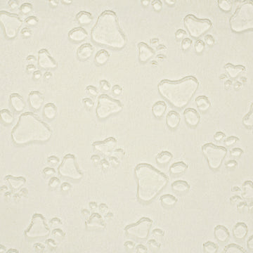 Luxe Cuddle® - Paws Natural Minky Yardage Primary Image
