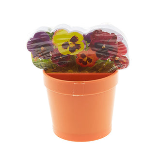 Desk Plant Organizer with Sticky Notes