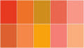 Handpicked Produce - Sweet Solids Clementine 5" Stackers 20 pcs. Alternative View #2