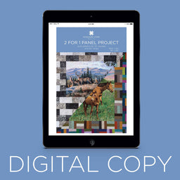 Digital Download - 2 for 1 Panel Project Pattern by Missouri Star Primary Image