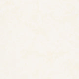 Artisan Batiks Solids - Prisma Dyes Ivory Yardage Primary Image