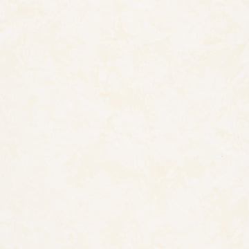 Artisan Batiks Solids - Prisma Dyes Ivory Yardage Primary Image