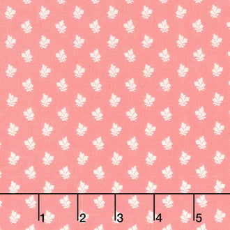 Sense and Sensibility - Lucy Yardage