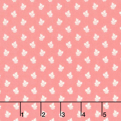 Sense and Sensibility - Lucy Yardage