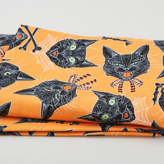 Scaredy Cat - Scaredy Cats Orange 2 Yard Cut