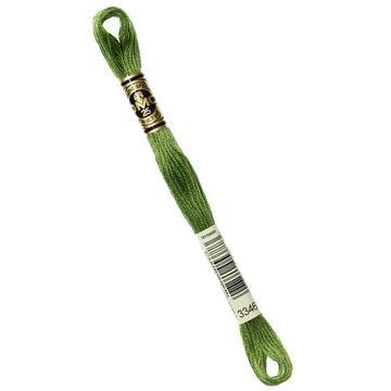 DMC Embroidery Floss - 3346 Hunter Green Primary Image