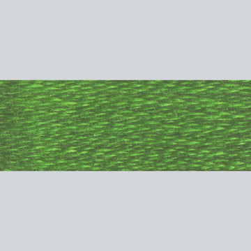 DMC Embroidery Floss - 987 Dark Forest Green Alternative View #1