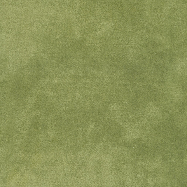 Woolies Flannel - Colorwash - Medium Green Yardage Primary Image
