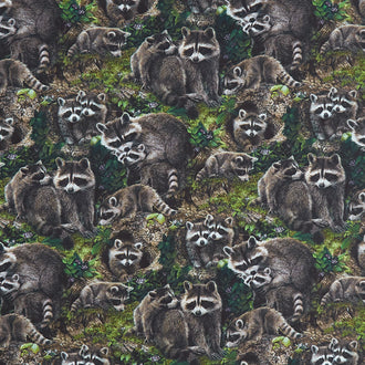 Naturescapes - Little Rascals Raccoons Brown Multi Yardage