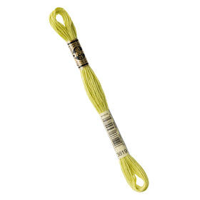DMC Embroidery Floss - 3819 Light Moss Green Primary Image
