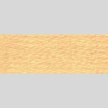 DMC Embroidery Floss - 3827 Pale Golden Brown Alternative View #1
