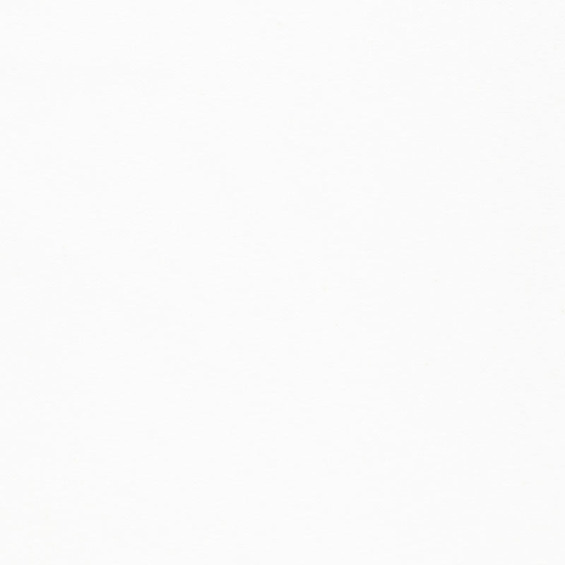 Flannel Solid - Solid White Yardage Primary Image