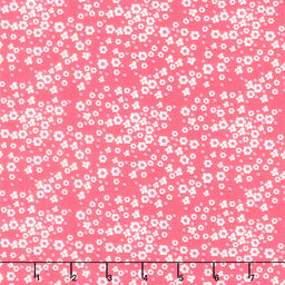Adel in Summer - Daisy Berry Yardage Primary Image