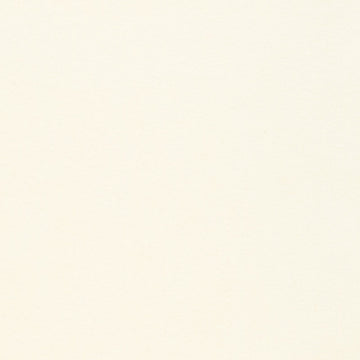 Flannel Solid - Solid Natural Yardage Primary Image