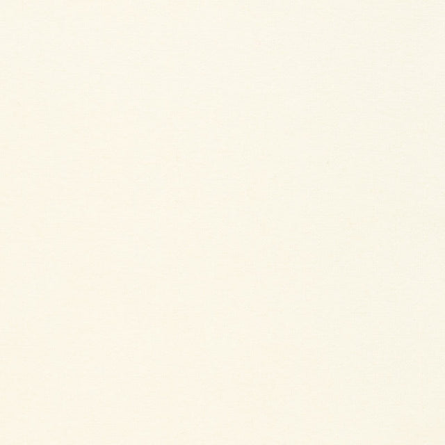 Flannel Solid Solid Natural Yardage