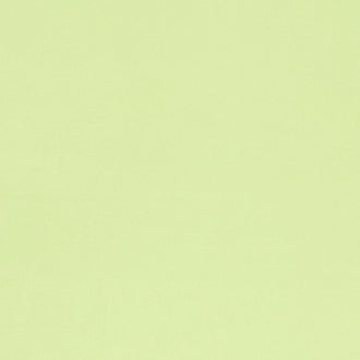 Cuddle® Solids - Mint Minky Yardage