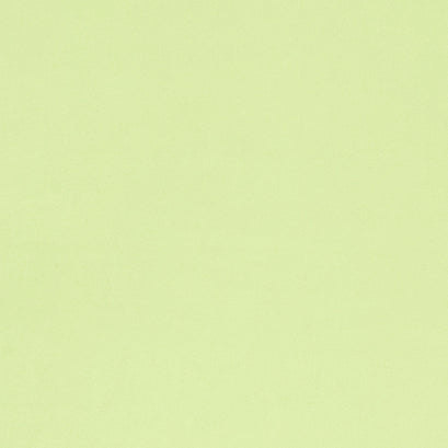 Cuddle® Solids - Mint Minky Yardage
