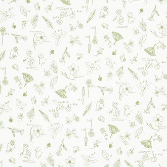 Wildwood Wander - Sketchbook Taffy Yardage
