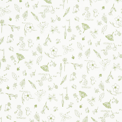 Wildwood Wander - Sketchbook Taffy Yardage