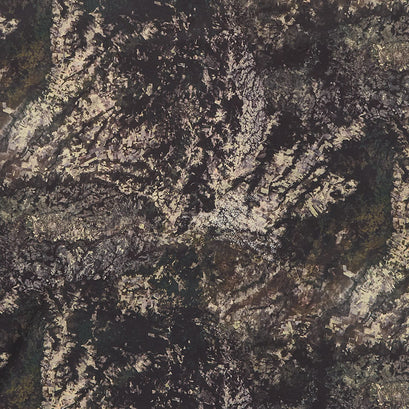 Earth Views - Landscape Forest Yardage