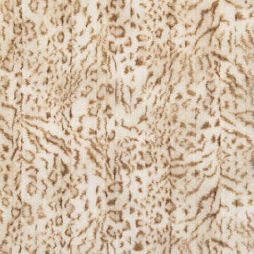Luxe Cuddle® - Vienna Bengal Cappuccino Yardage Primary Image