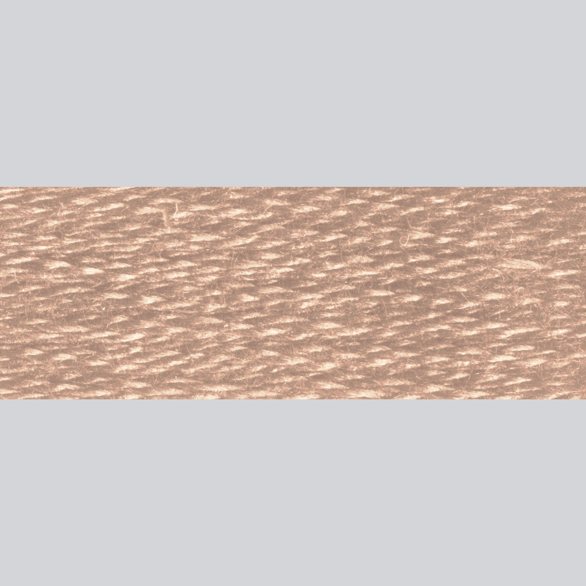 DMC Embroidery Floss - 841 Light Beige Brown
