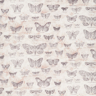 Eclectic Elements - Butterflight Taupe Yardage