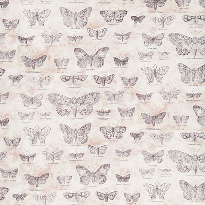 Eclectic Elements - Butterflight Taupe Yardage