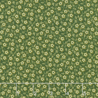 Evergreen - Patch Evergreen Yardage