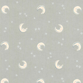 Cozy Cotton Flannels - Over the Moon Full Collection Moons Shadow Yardage Primary Image